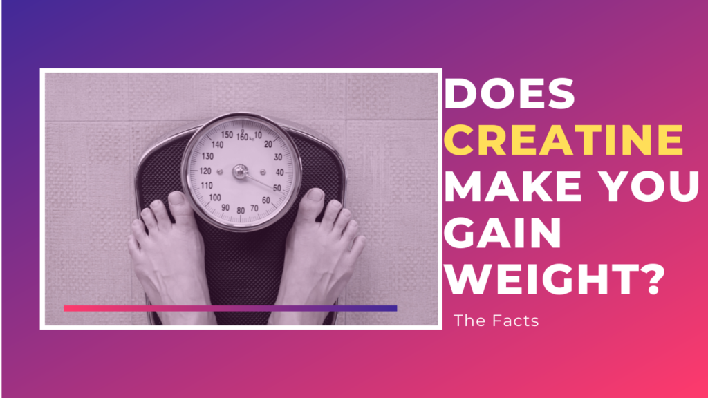 does creatine make you gain weight