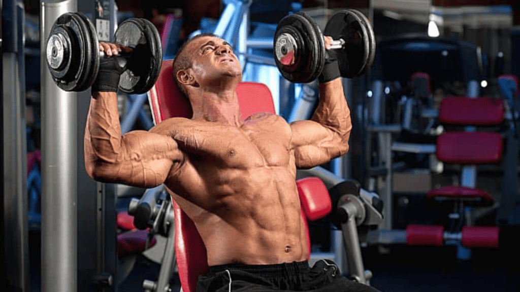 best exercise for shoulders include the shoulder press